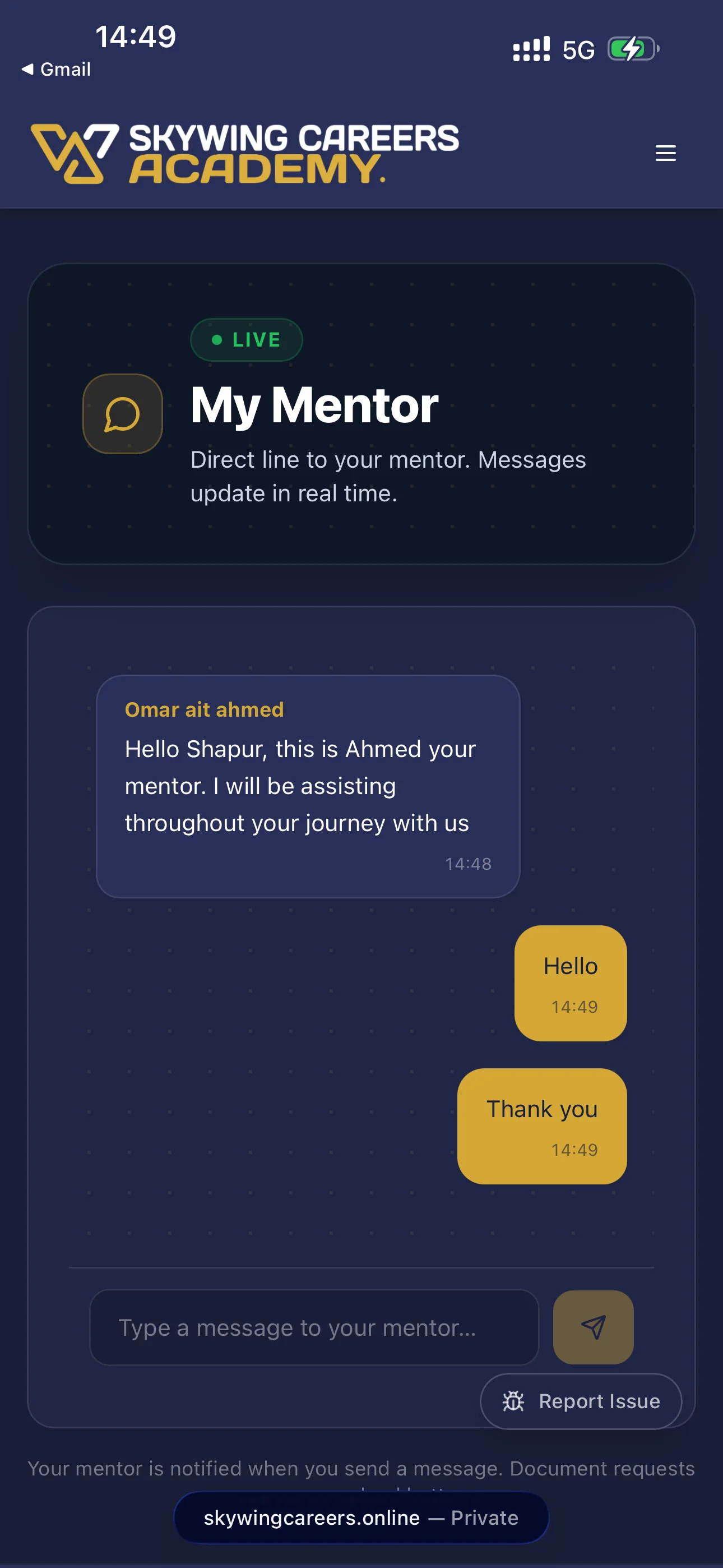 Skywing private mentor chat
